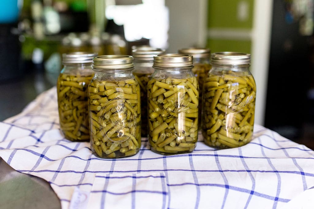 Pressure canning green bean: Saving a tonne of money 