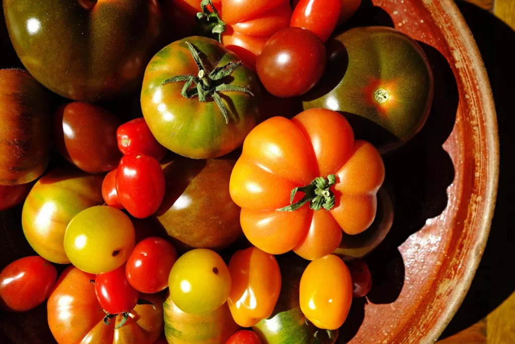 What are the best tomatoes for canning?