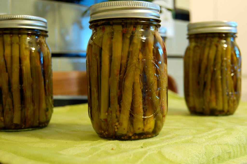 Pickled Green Beans: The Perfect Alternative to Pressure Canning