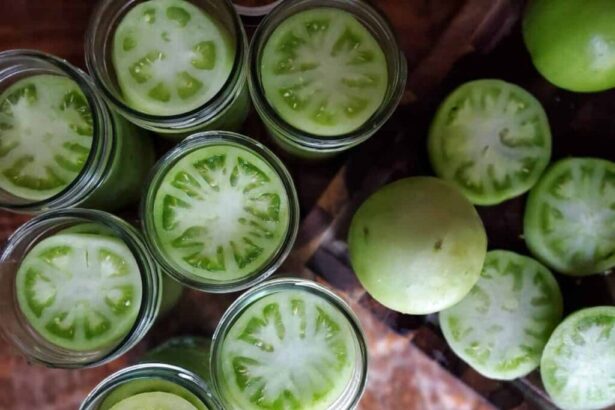 How To Can Green Tomatoes: A Complete to Preserving Your Harvest