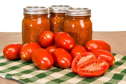 Best Tomatoes for Canning: Top Varieties for Preserving