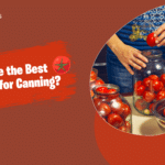 What Are the Best Tomatoes for Canning