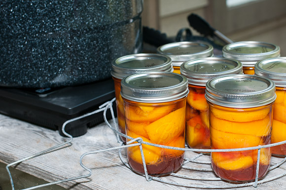 5. Recipe for Brandied Peaches 