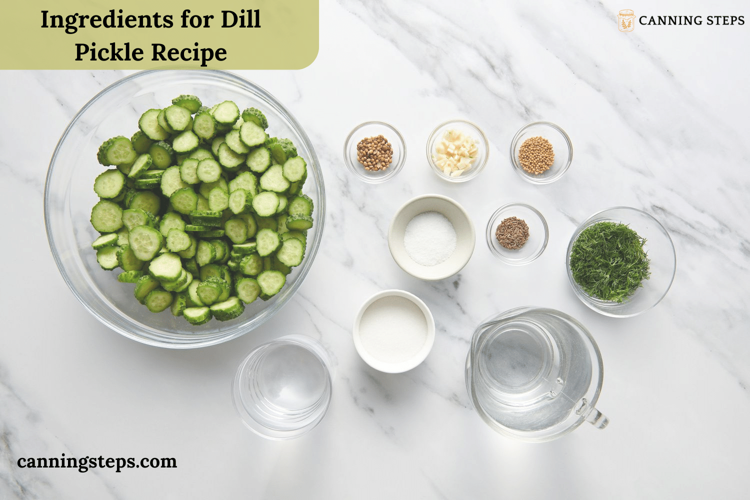 Ingredients for Dill Pickle Recipe Placed on a Marble Countertop