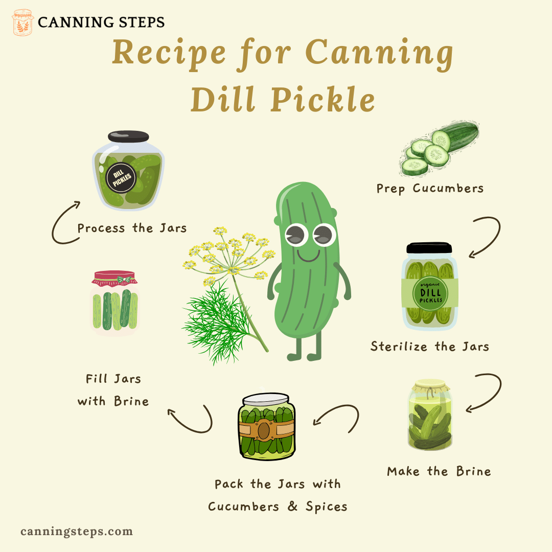 Recipe for Canning Dill Pickle Infographic