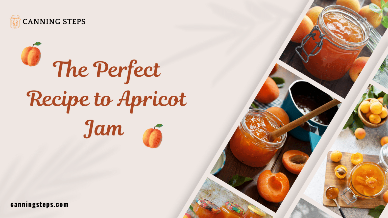 The Perfect recipe for apricot jam