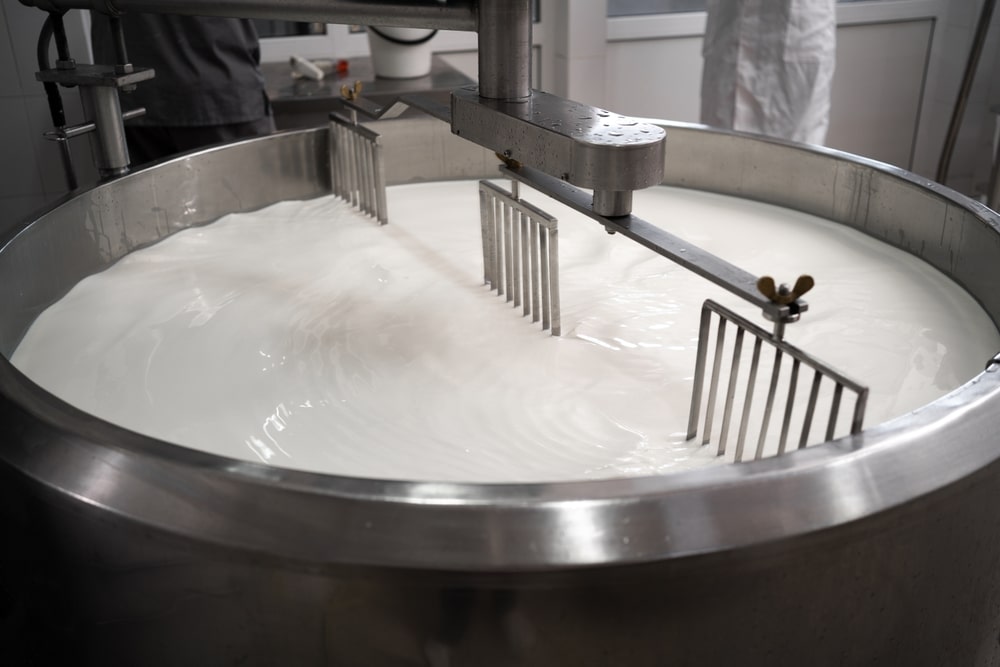 Process Of Making Dairy Products In Modern Dairy Factory Preparing