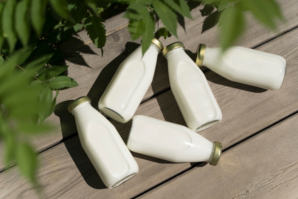 A Bottle Of Fresh Milk On A Sunny Summer Farm