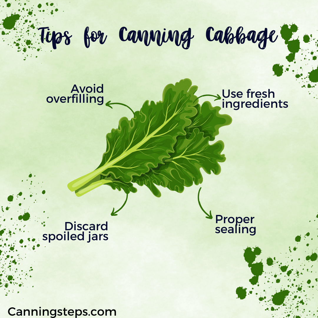 tips of canning cabbage