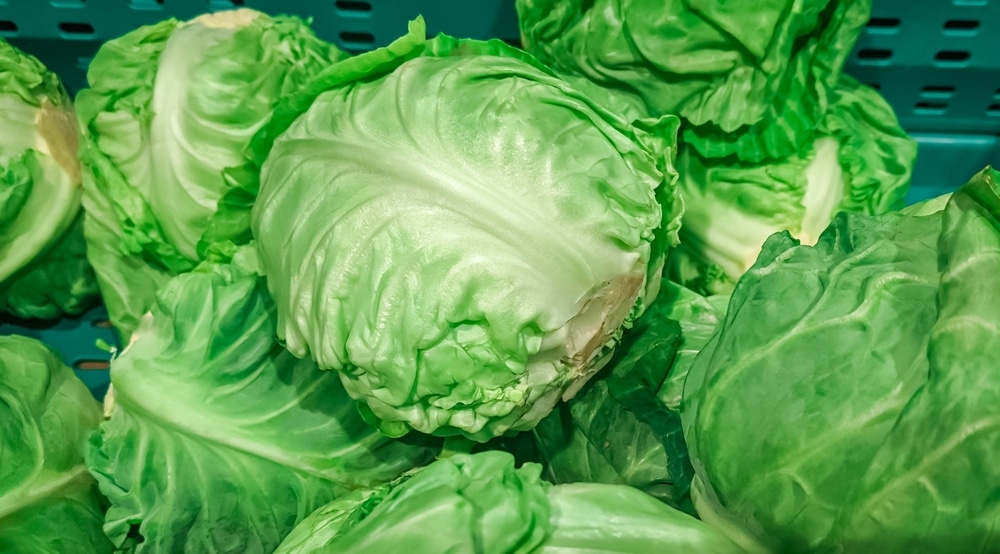  Fresh Cabbage In Grocery Store Shelves 