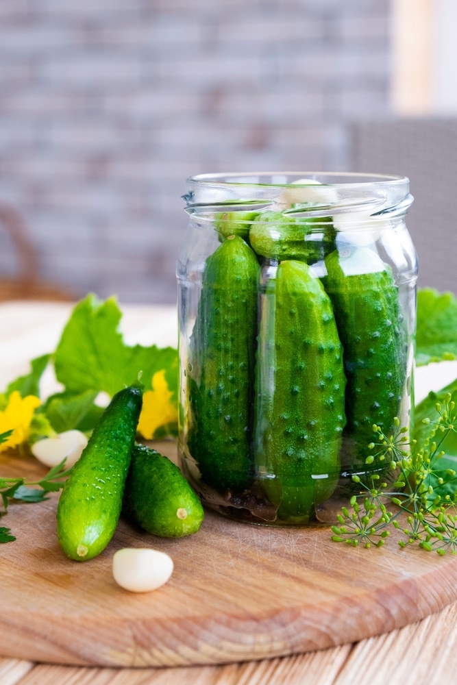 Preparation Of Salty Pickled Cucumbers With Herbs Garlic And Dill