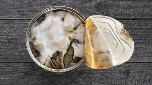 An overhead view of an opened can with food gone bad An overhead view of an opened can with food gone bad