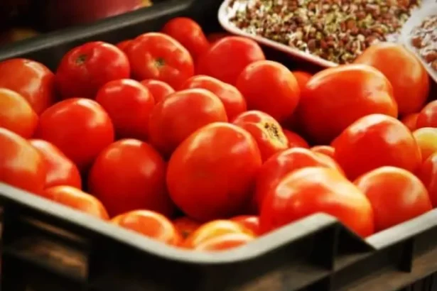 A close up view of ripe red tomatoes arranged in a tray ready for preservation or use