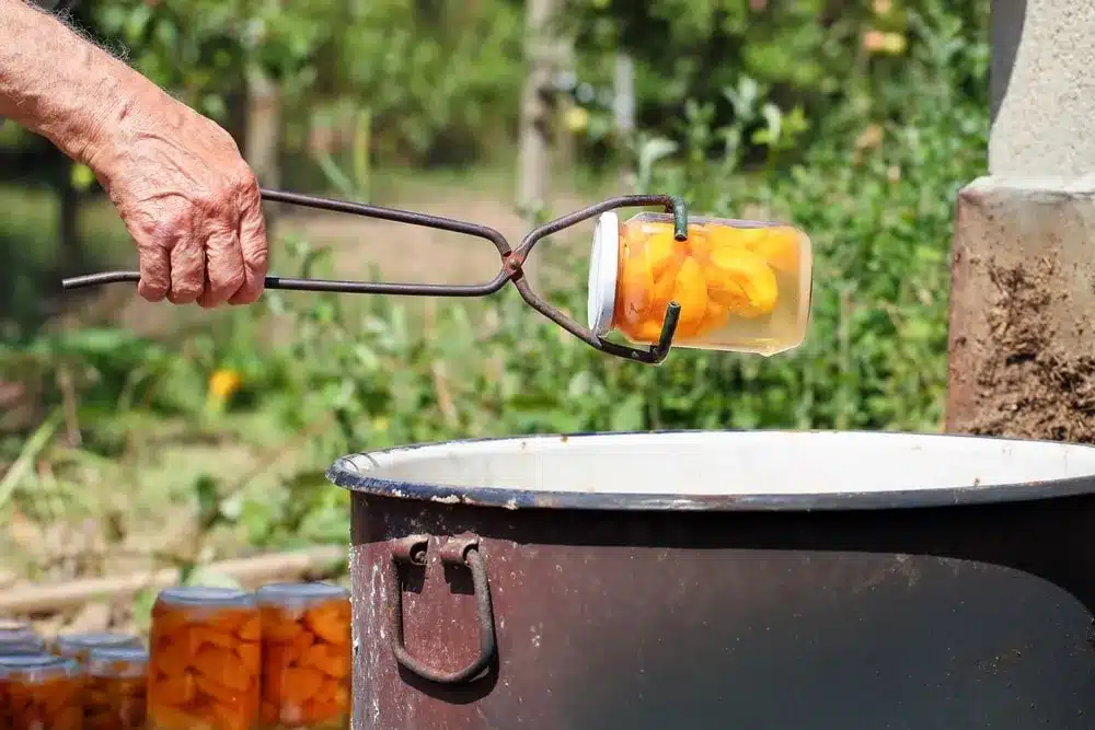 A hand using a jar lifter to carefully remove a jar of canned peaches from a water bath canner A hand using a jar lifter to carefully remove a jar of canned peaches from a water bath canner