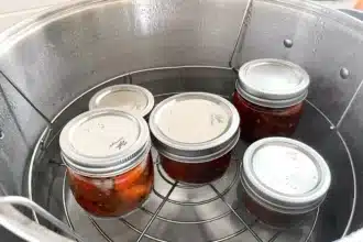 Jars being processed in a water bath canner