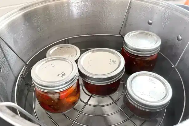 Jars being processed in a water bath canner